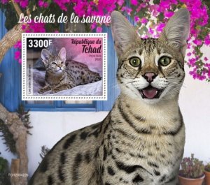 Chad - 2020 Savannah Cat Breed - Stamp Souvenir Sheet - TCH200422b