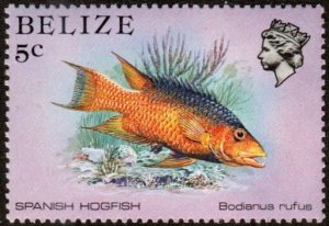 Belize 703 - Mint-NH - 5c Spanish Hogfish (1984) (cv $0.95)