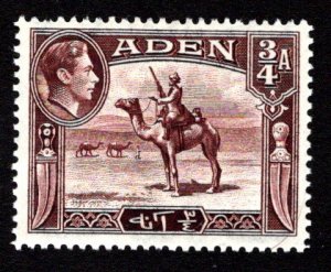 ADEN  SC# 17  FVF/MLH