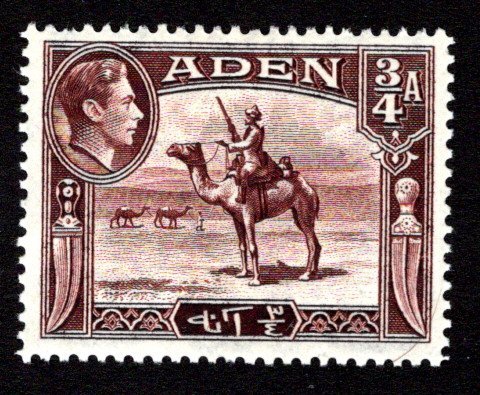 ADEN  SC# 17  FVF/MLH