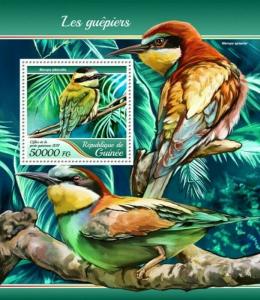 Guinea - 2017 Bee-eater Birds - Stamp Souvenir Sheet - GU17410b