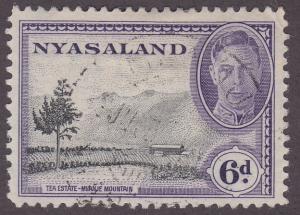 Nyasaland Protectorate 74 Tea Plantation 1945