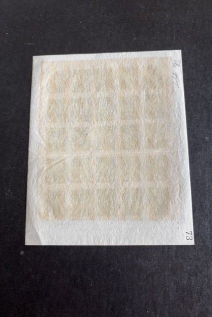 Paraguay full sheet of 25 #O4 without official overprint, no gum
