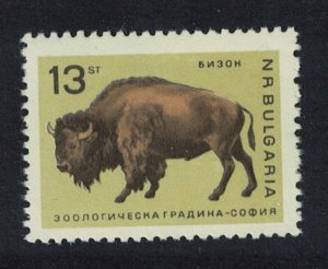 Bulgaria American Bison Sofia Zoo 13 st 1966 MNH SG#1616