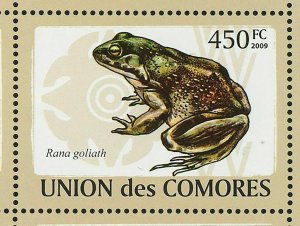 Frogs Stamp Xenopus Laevis Mantella Aurantiaca Pyxicephalus S/S MNH #2163-2168 