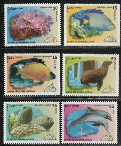 CUBA Sc# 5060-5065  AQUACULTURE MARINE LIFE Cpl set of 6 stamps 2010 MNH mint