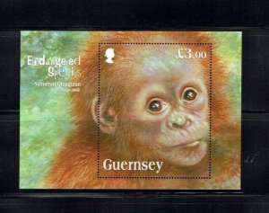 Guernsey: 2014 Endangered Species, Sumatran Orangutan, M/Sheet MNH