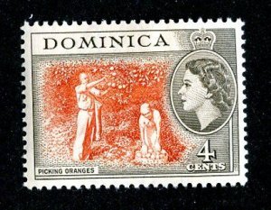 1954 Dominica Sc #147 mlh* cv.$2.75 ( 8954 BCXX5 )
