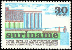 Suriname #413-414, Complete Set(2), 1974, Never Hinged