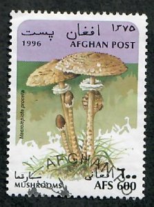 Afghanistan Mushroom CTO single from 1996