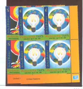 United Nations #892-893 Mint (NH) Multiple