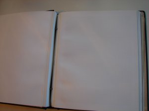 Elbe Album with 25 new pages, 5 slightly used  & 44 glassines. 14 X 11 page size