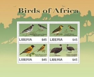 Liberia - 2007 - BIRDS OF AFRICA - Sheet of 4 Stamps - MNH