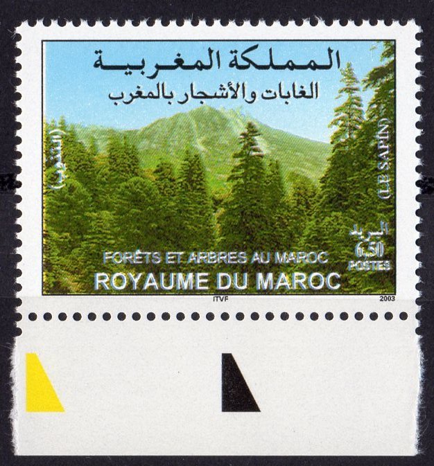 Morocco 2003 Sc#936 FIR TREES (1) MNH