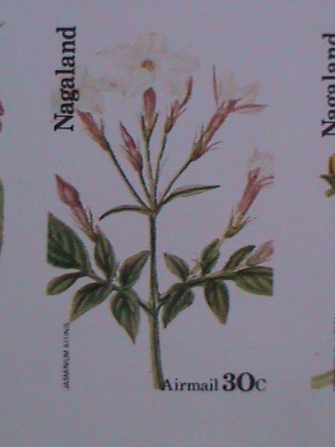 NAGALAND-LOVELY WILD FLOWERS-IMPERF: MNH-SHEET VERY FINE EST. $14  LAST ONE