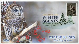 20-242, 2020, Winter Scenes, FDC, Digital Color Postmark, Barred Owl