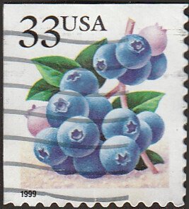 # 3294 USED BLUEBERRIES