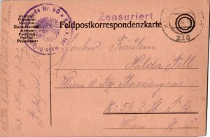 Austria Soldier's Free Mail 1916 K. und K. Feldpostamt 215 Feldpostcard to Wi...