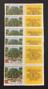 Russia 1970 #3712+Label,Wholesale lot of 10, Friendship, MNH, CV $5.