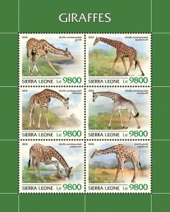 [ 322 27 ]- YEAR 2018 - SIERRA LEONE - GIRAFFES          6V   MNH/**