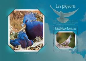 TOGO 2014 SHEET PIGEONS BIRDS tg14619b