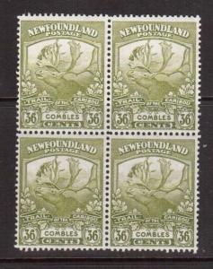 Newfoundland #126 NH Mint Block