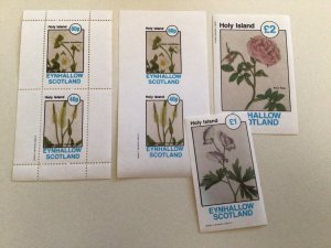 Holy Island Scotland Flowers mint never hinged stamps sheets Ref R49096