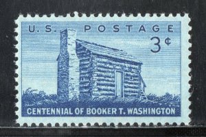 1074 *  BOOKER T WASHINGTON  *  U.S. Postage Stamp MNH