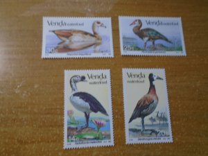 South Africa  Venda  #  161-64   MNH  Birds