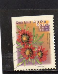 South Africa Flowers used