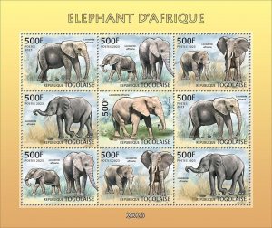 2024 03 - TOGO - AFRICAN ELEPHANTS       9V  complet set    MNH **