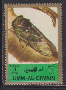 UAE Umm Al Qiwain Unlisted  Insects & Nature