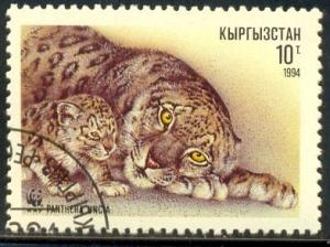 Snow Leopard, Panthera Uncia, Kyrgyzstan SC#29 used