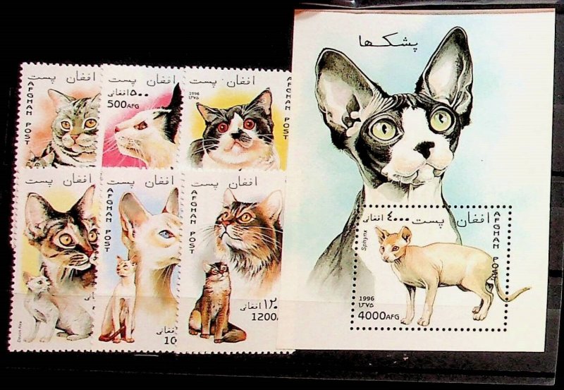 AFGANISTAN - NH SET+S/S OF 1996 - CATS