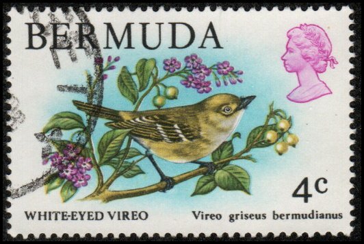 Bermuda 364 -Used - 4c White-eyed Vireo (1978) (cv $3.00)
