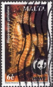 Malta 1071 - Used - 6c Long-snouted Seahorse (WWF) (2002)