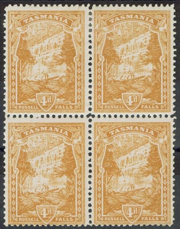 TASMANIA 1905 RUSSELL FALLS 4D BLOCK */** WMK CROWN/A INVERTED PERF 11