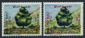 Iraq 367-368, hinged. Michel 403-404. Tree week, 1965.