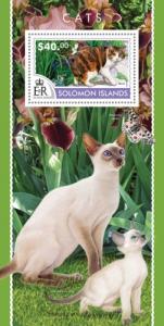 SOLOMON ISLANDS 2015 SHEET CATS slm15217b