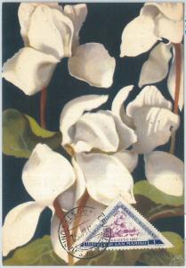 72678 -  SAN MARINO -  Postal History -   MAXIMUM CARD - FLOWERS  1952