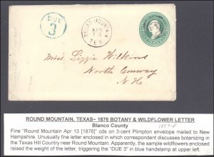 Blanco County Round Mountain with Letter Due 3 Aux Marking ( Postal History )...