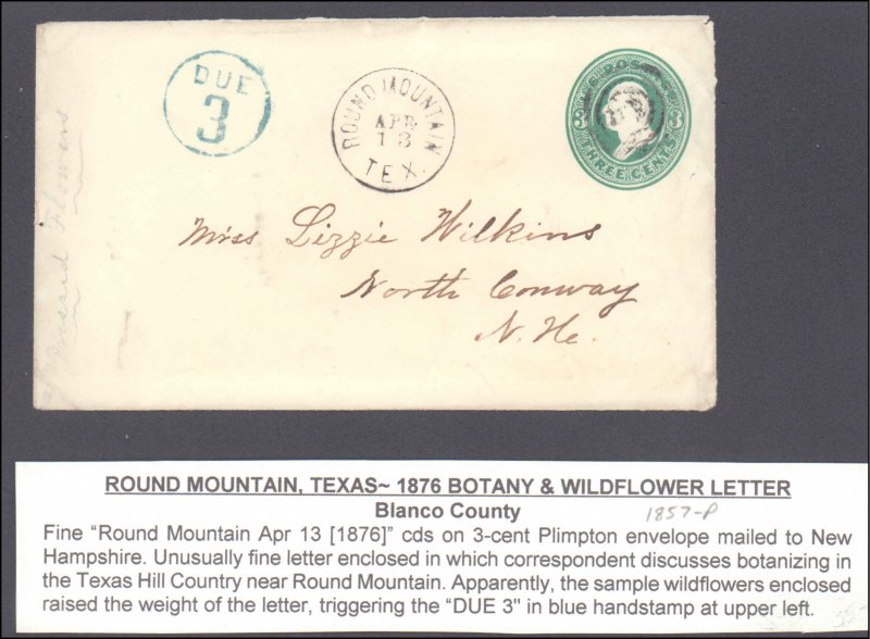 Blanco County Round Mountain with Letter Due 3 Aux Marking ( Postal History )...