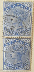 Bermuda Scott 22 used pair