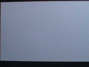 ​DJIBOUTI-2012-WORLD FAMOUS ENDANGERED ANIMALS MNH IMPERF SHEET-VERY FINE