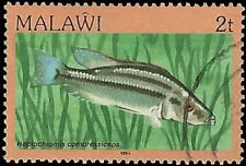 MALAWI   #428 USED (2)