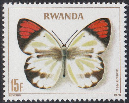 Rwanda 1979 MNH Sc #909 15fr Colotis evippe Butterflies