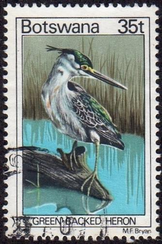 Botswana 209 - Used - 35t Green-backed Heron (1978) (cv $3.35)