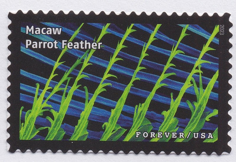 US 5802a-5802t 5802 Life Magnified forever set (20 single stamps) MNH 2023