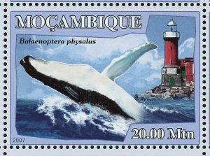 Whales Stamp Lighthouses Balaenoptera Physalus Orcinus Orca S/S MNH #3050-3055