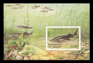 1997 Belarus 221/B15 Marine fauna